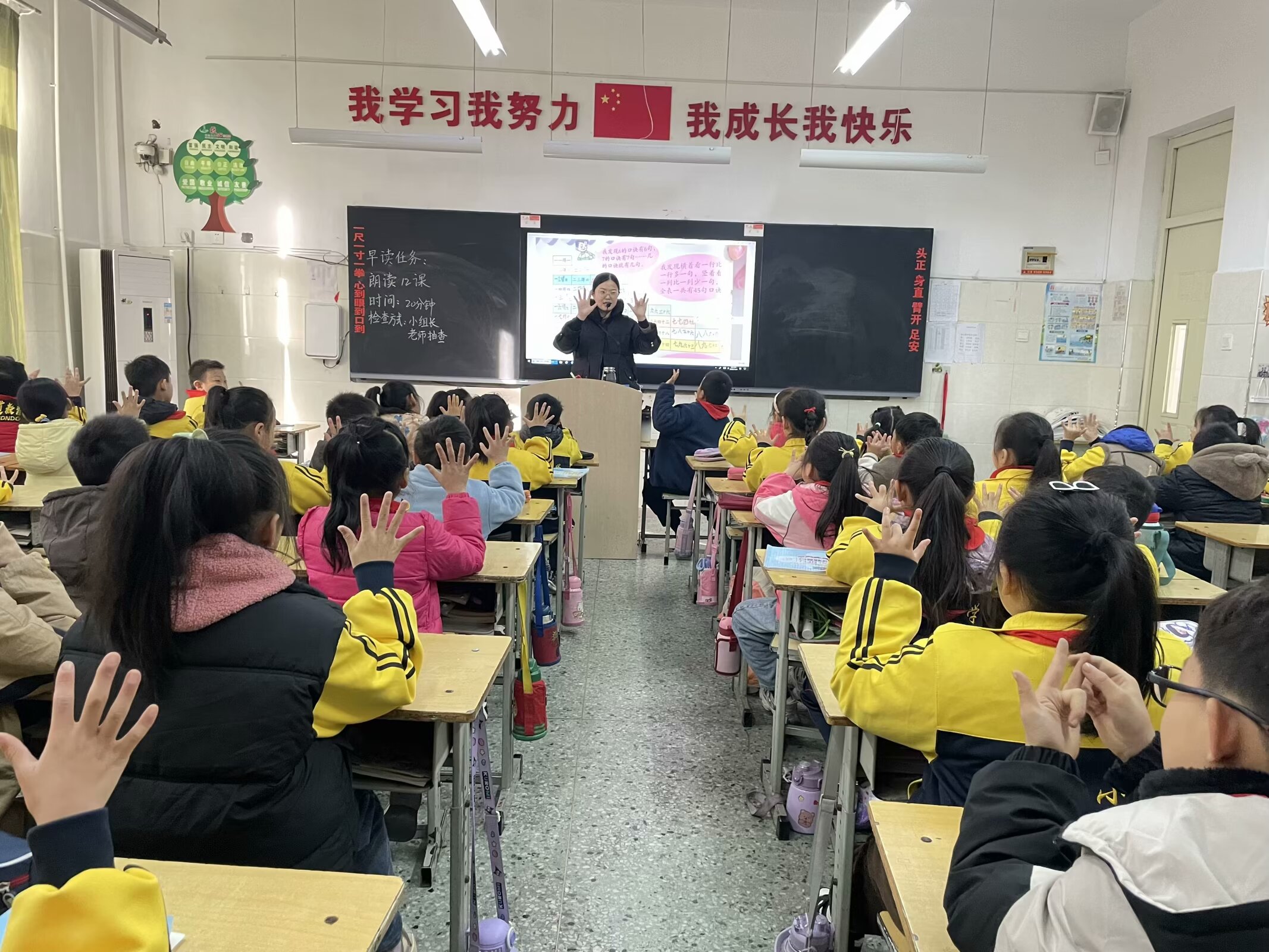 图片1
