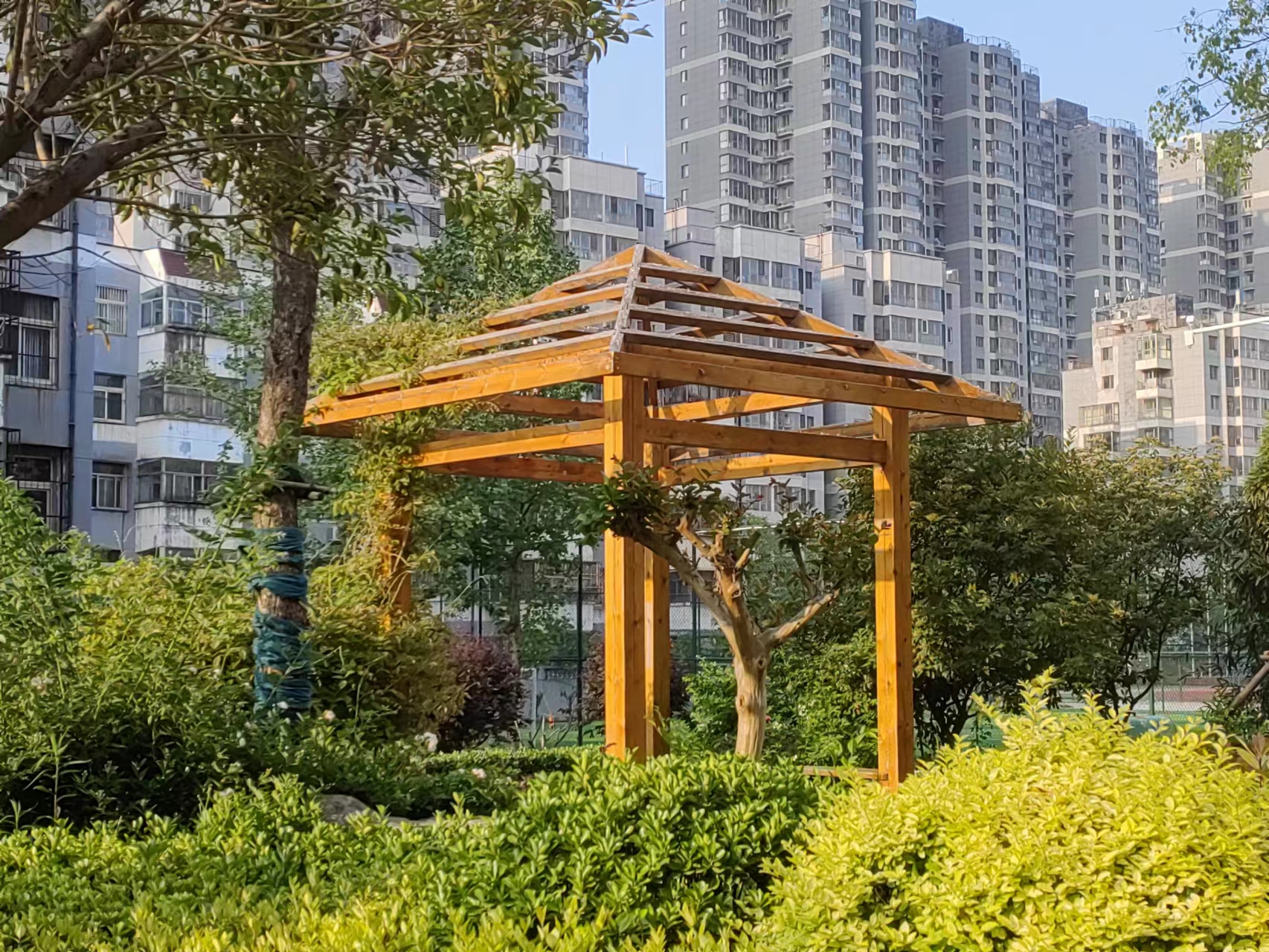 图片1