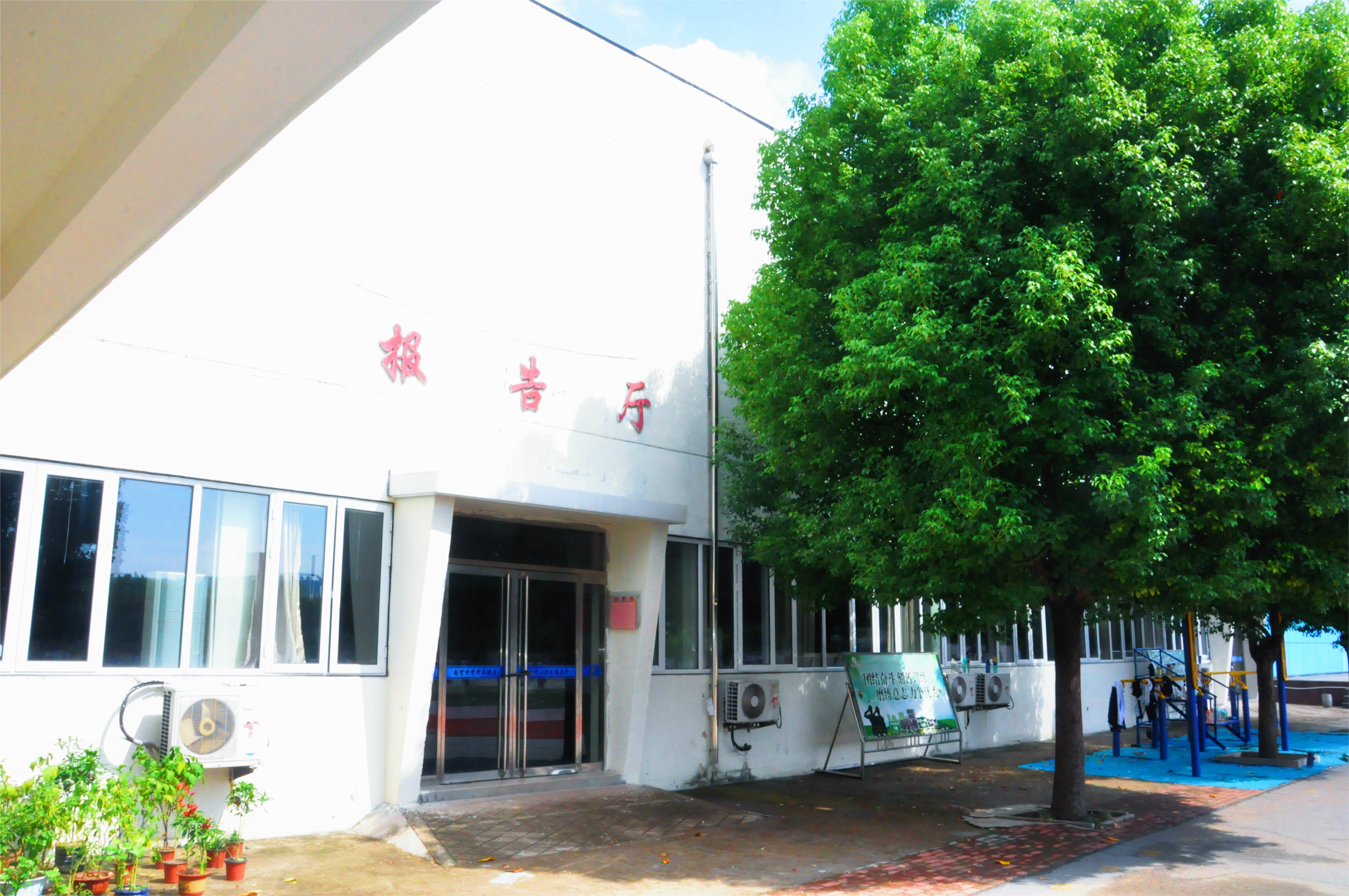 图片1