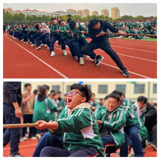 图片6.png 图片6.png