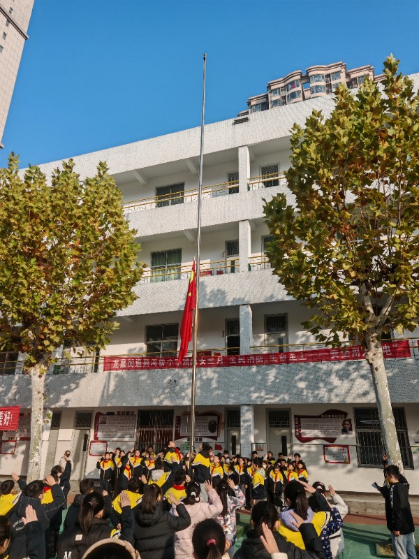 重阳图片1.jpg image