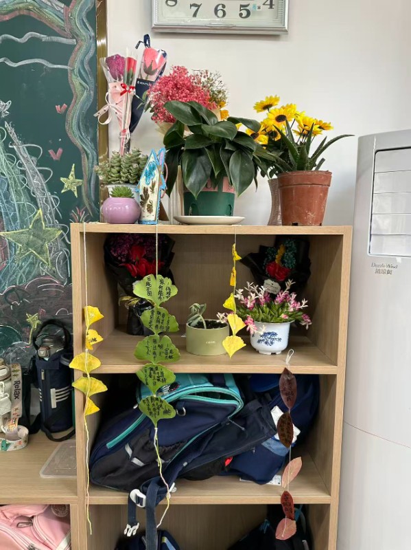 微信图片_20251117091515_430_82.jpg image