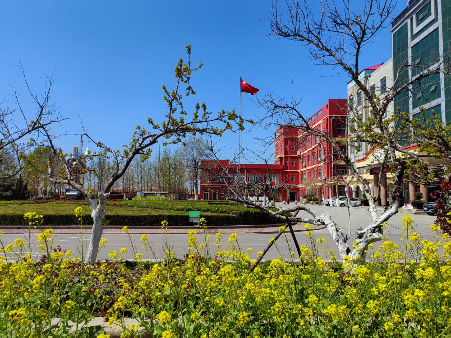 图片1