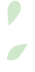 descript