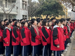 微信图片_20241209093143