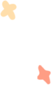 descript