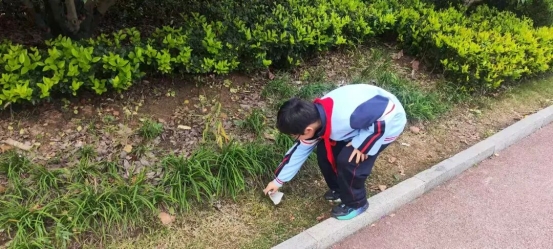 简篇-红领巾志愿行 ﻿至善学校小学部少先队员劳动实践活动