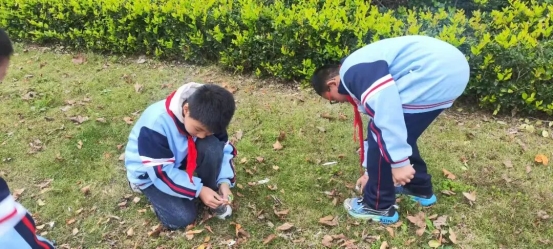 简篇-红领巾志愿行 ﻿至善学校小学部少先队员劳动实践活动