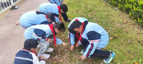 简篇-红领巾志愿行 ﻿至善学校小学部少先队员劳动实践活动