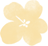 descript