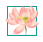 descript