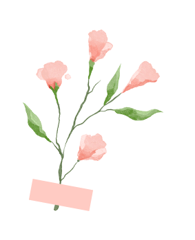 descript