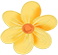 descript