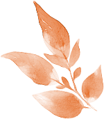 ce158ca875f48e39b659902acf32b5d476559b3b