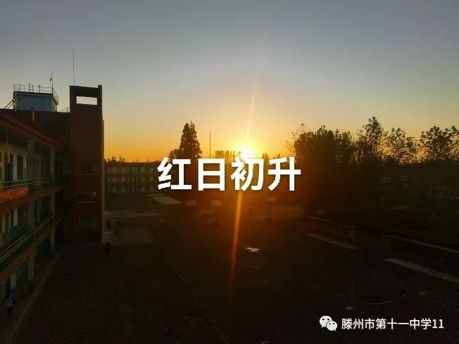 微信图片_20211128162343.jpg