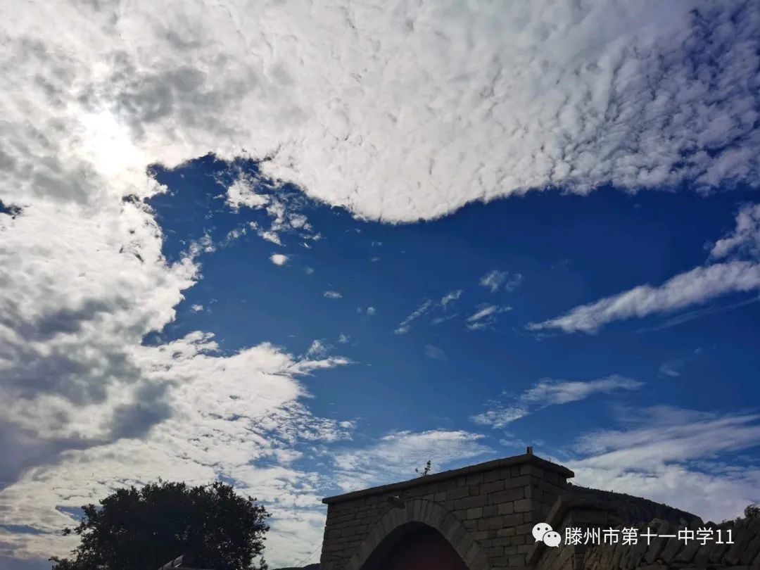 微信图片_20211202152331.jpg
