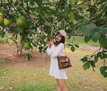 1650771346120294.png image.png