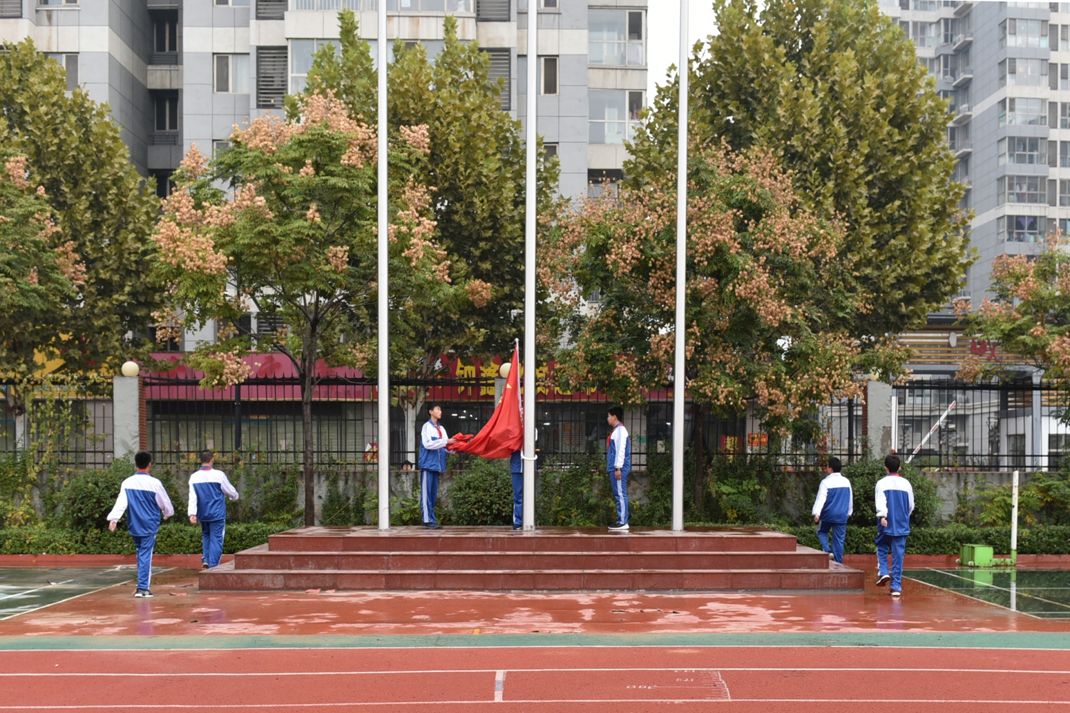 图片1