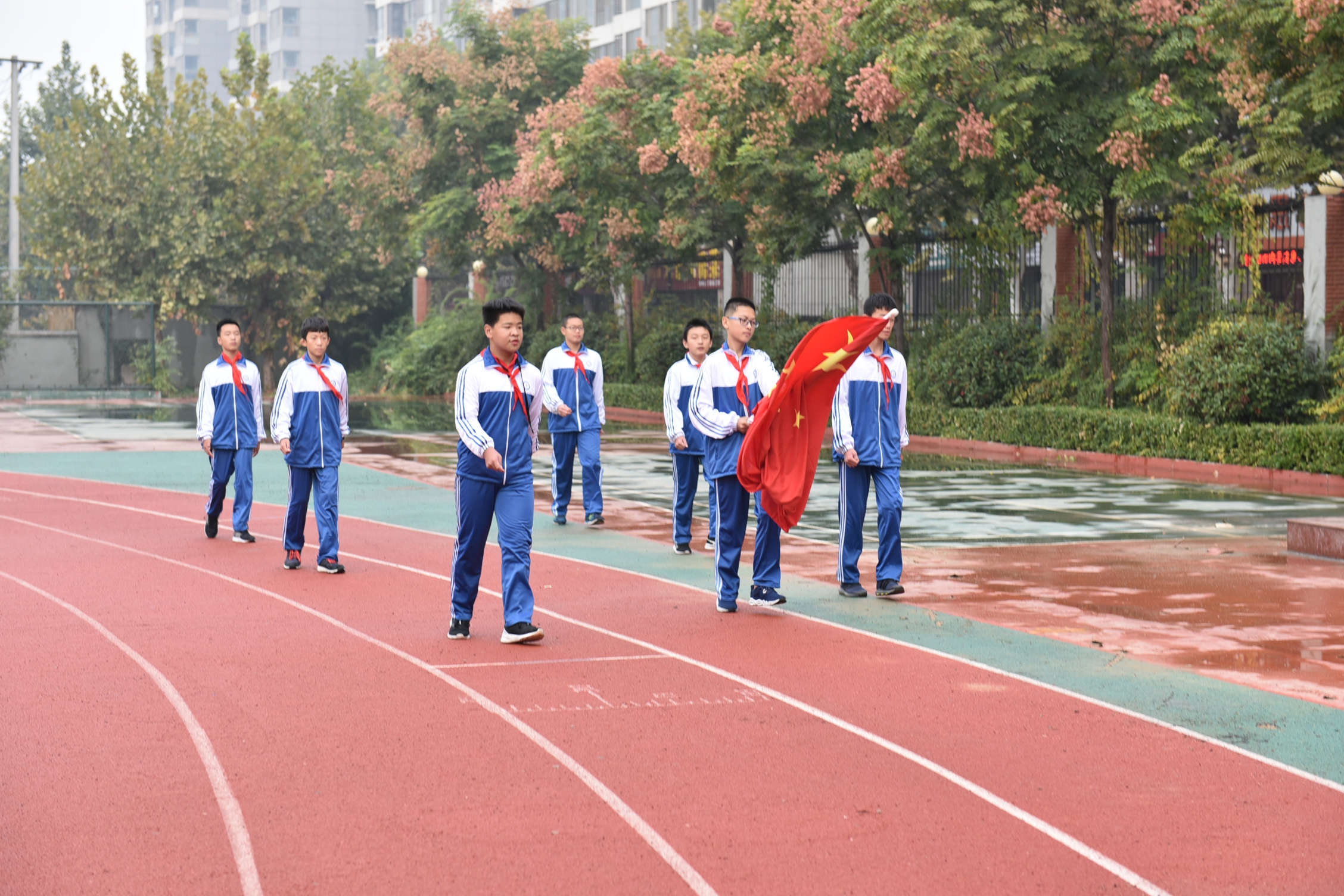 图片1