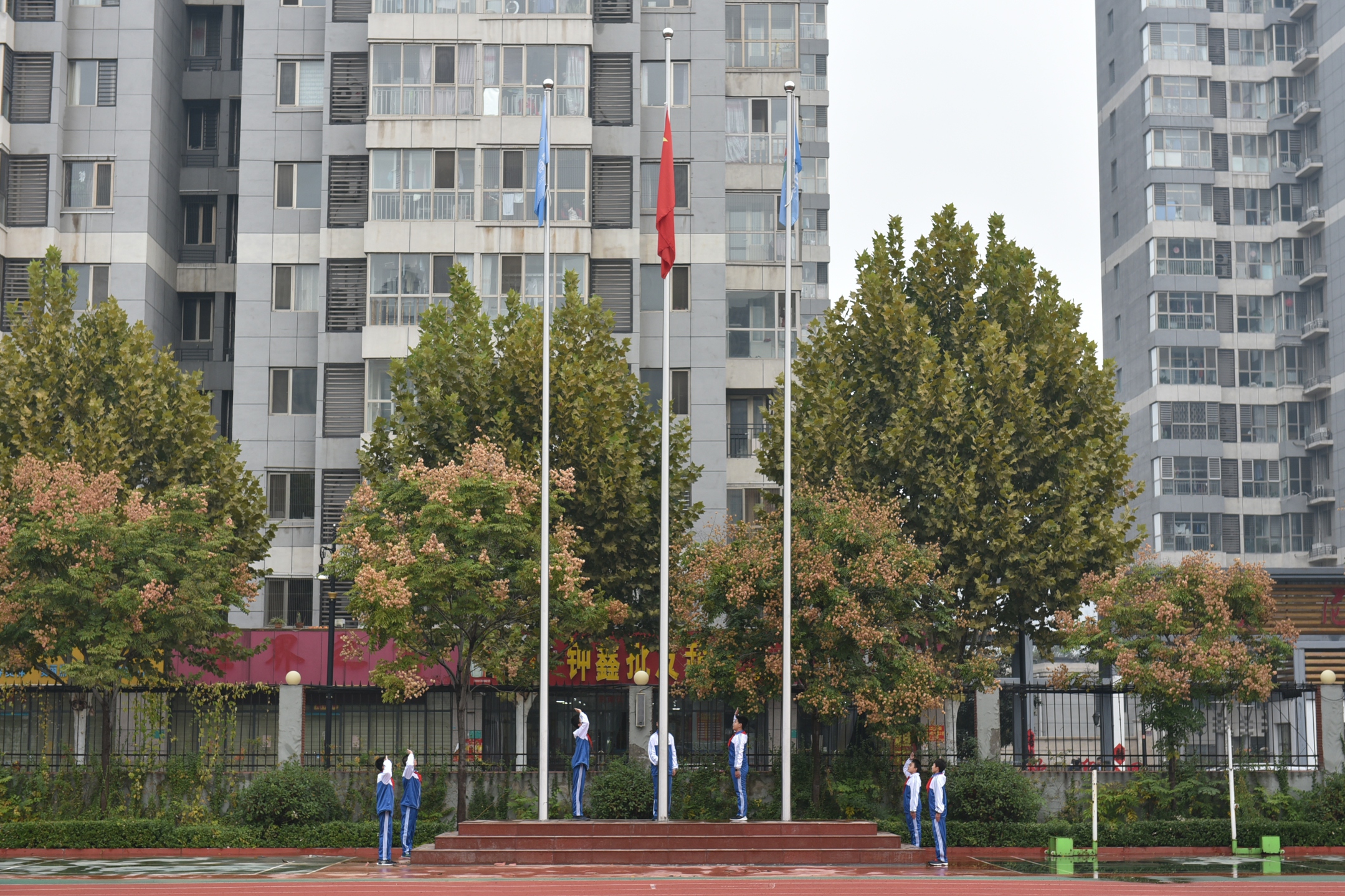 图片1