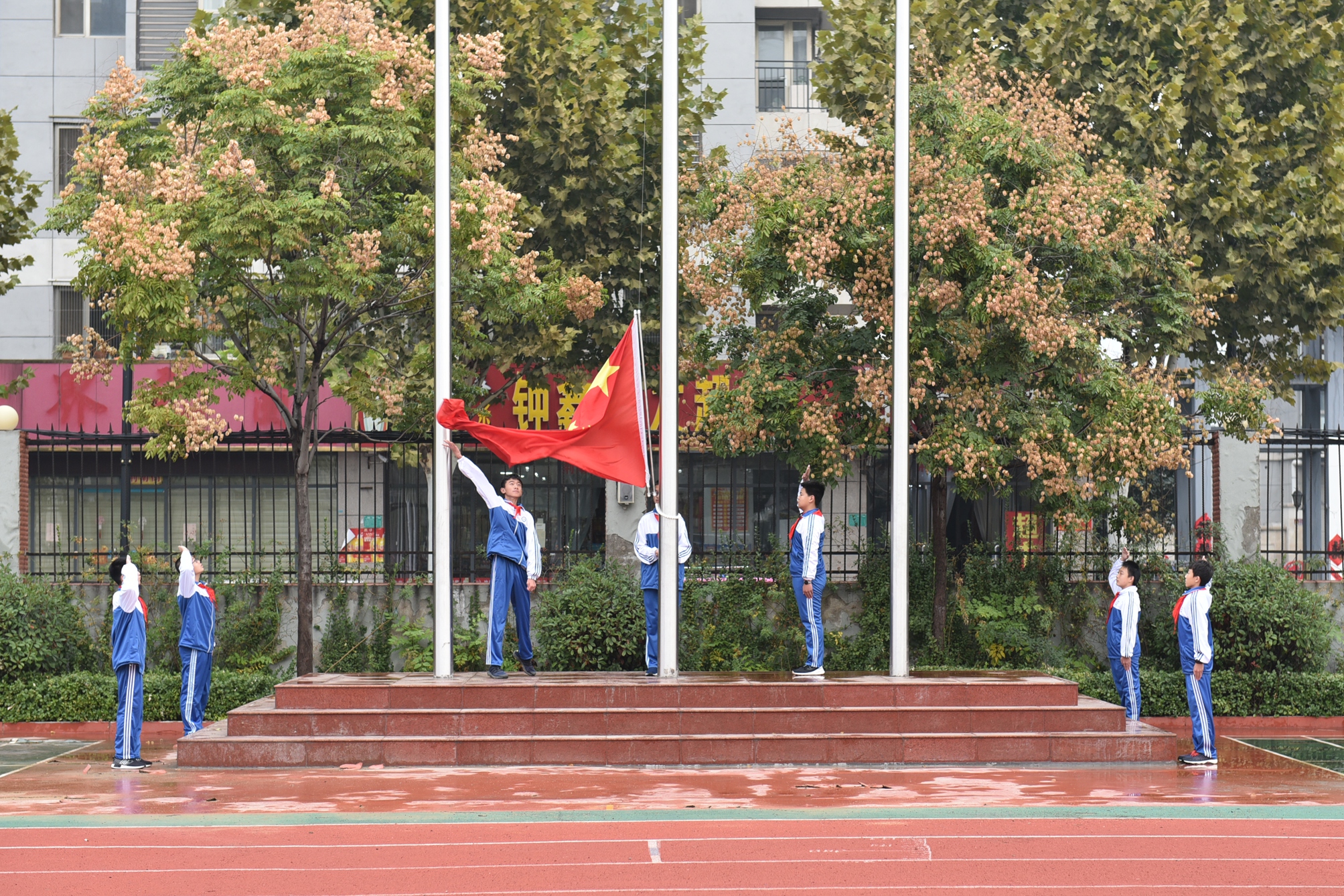 图片1