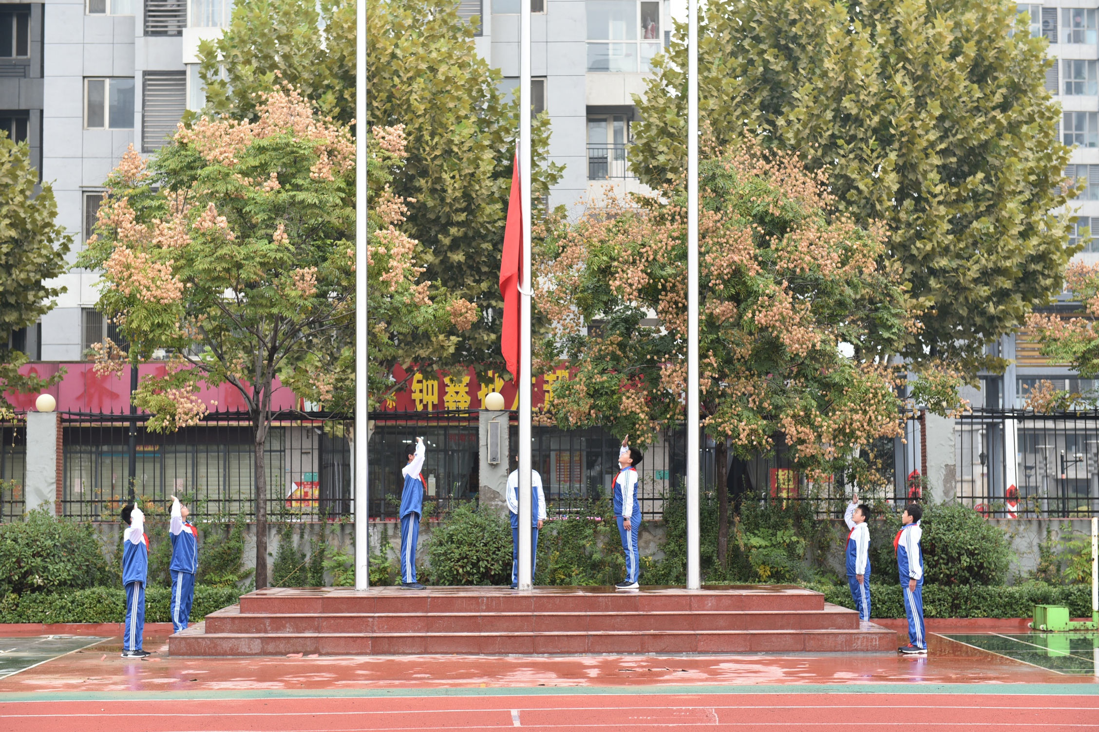 图片1