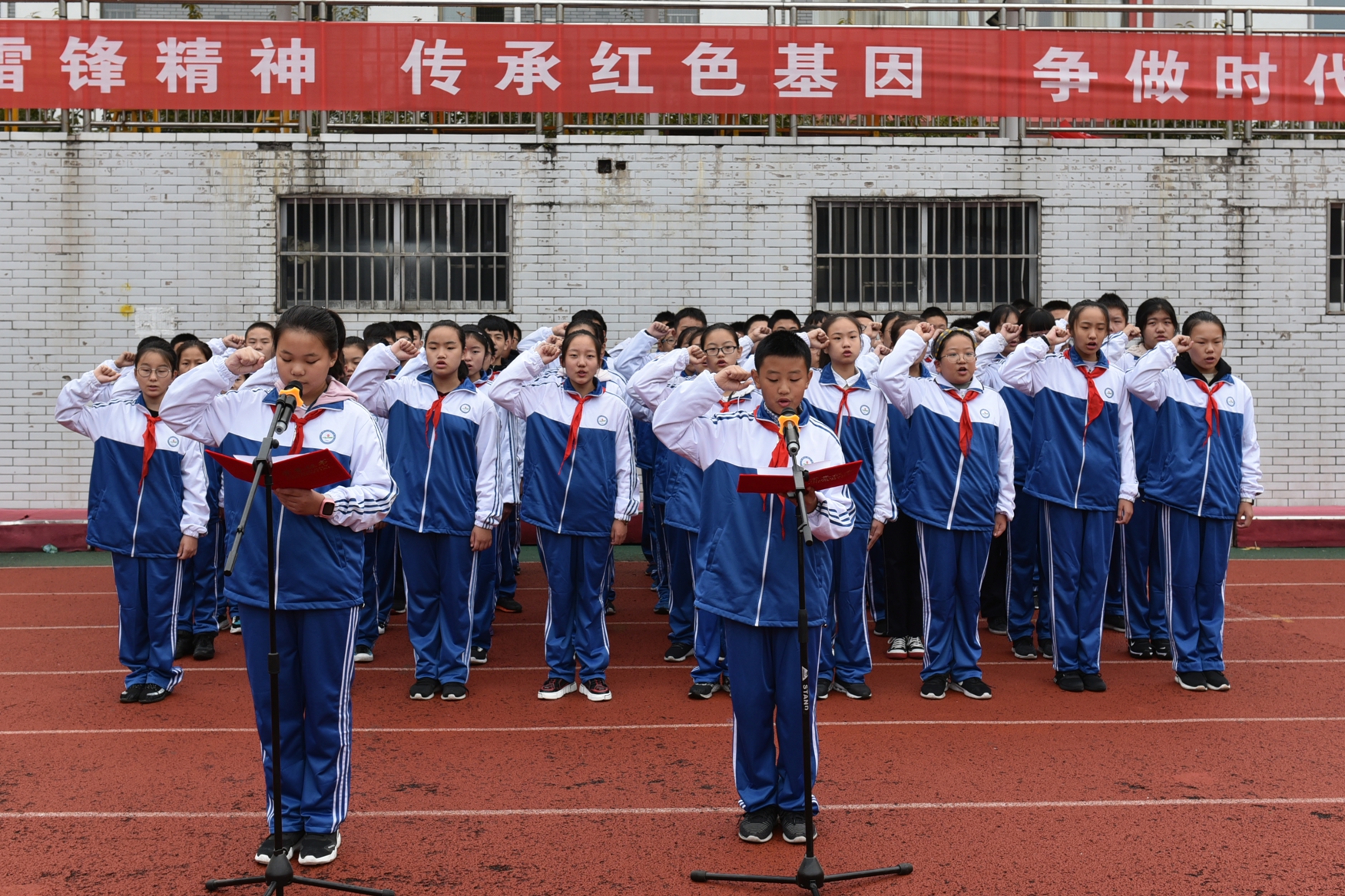 图片1