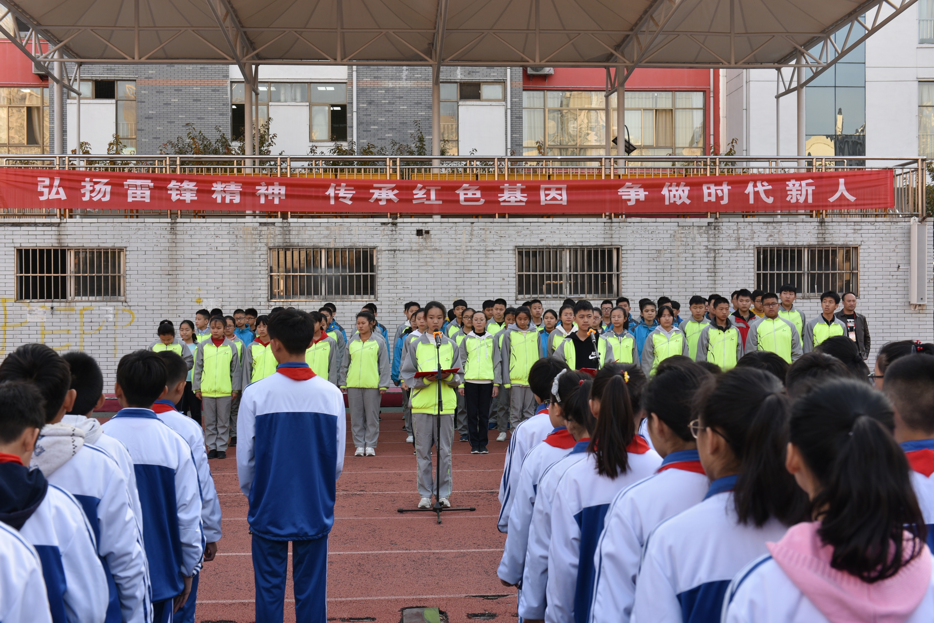 图片1