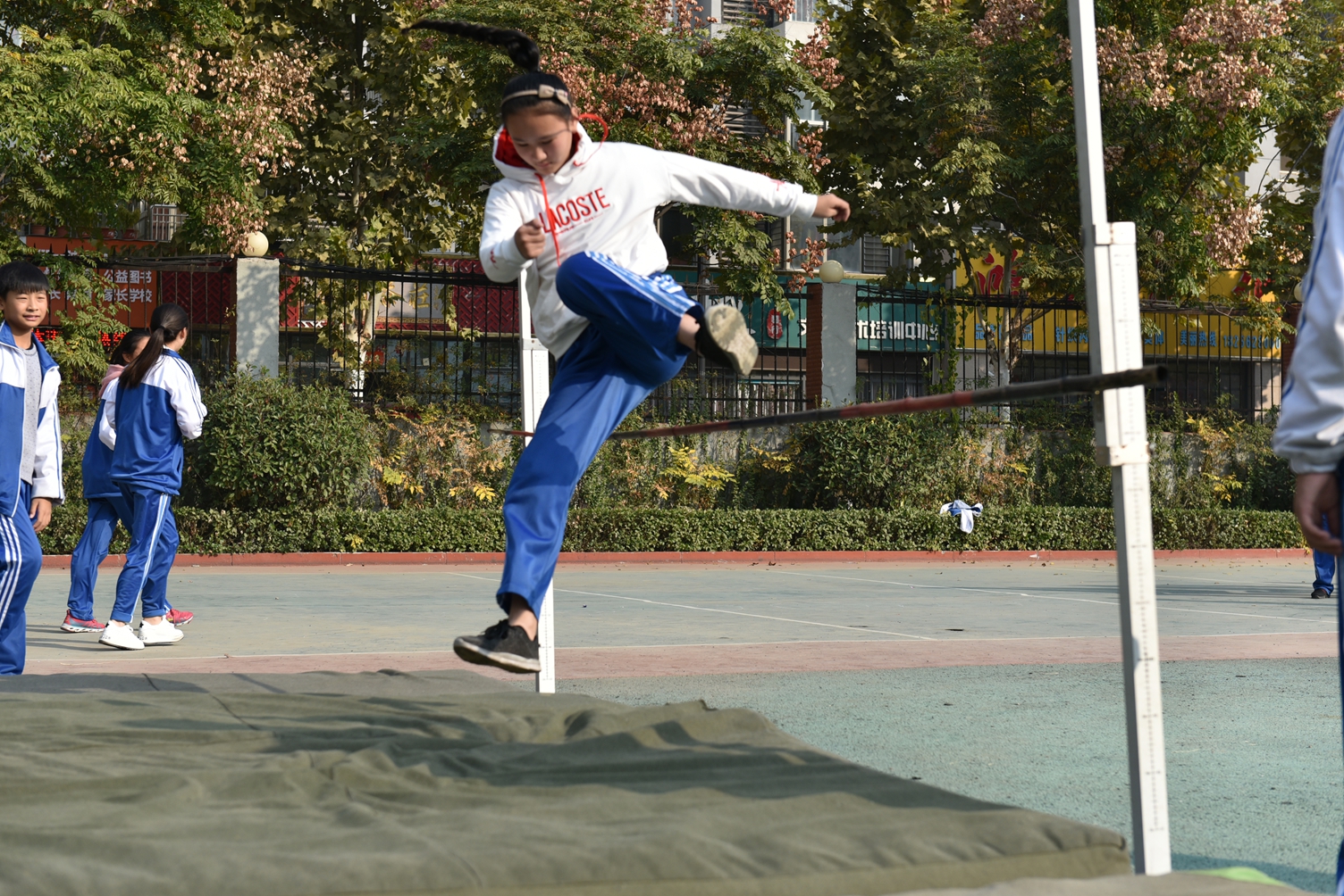 图片1