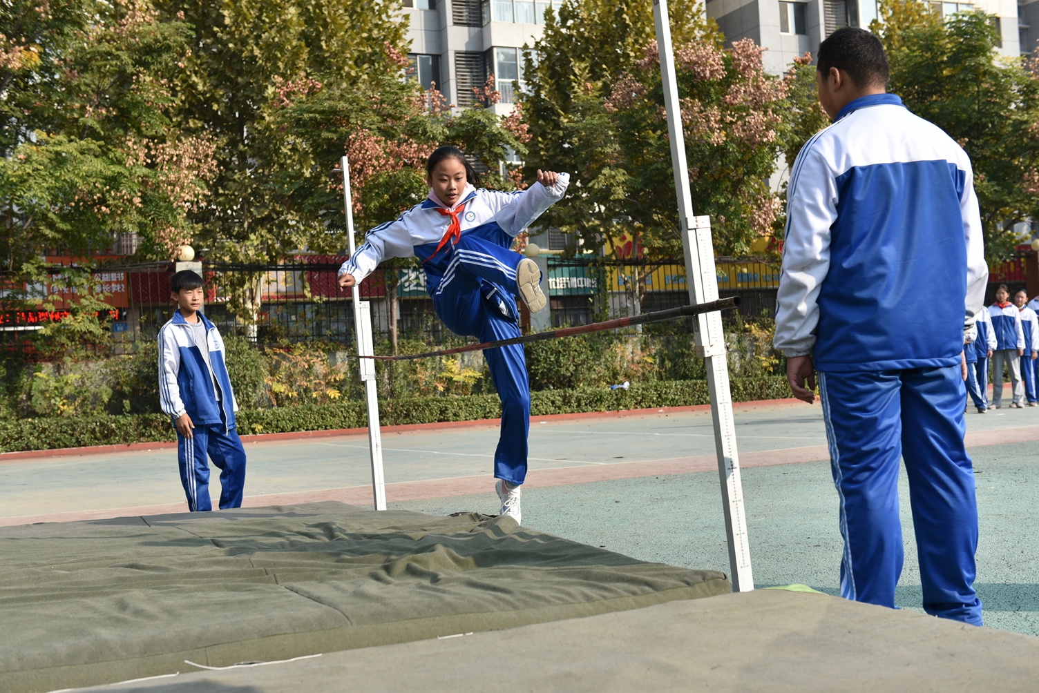 图片1