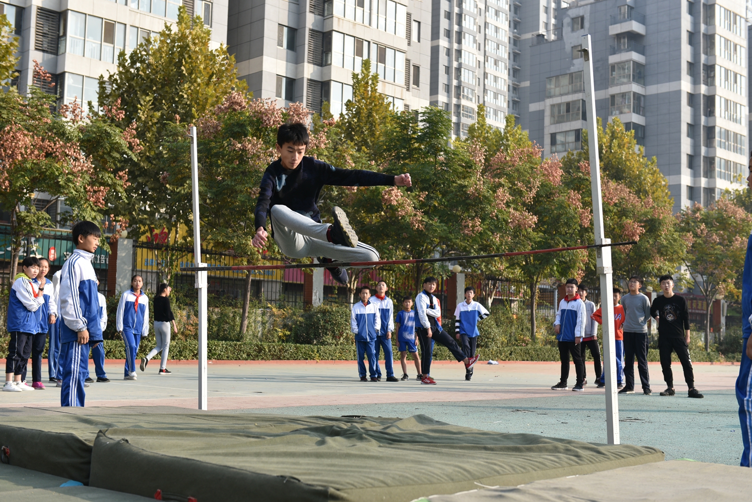 图片1