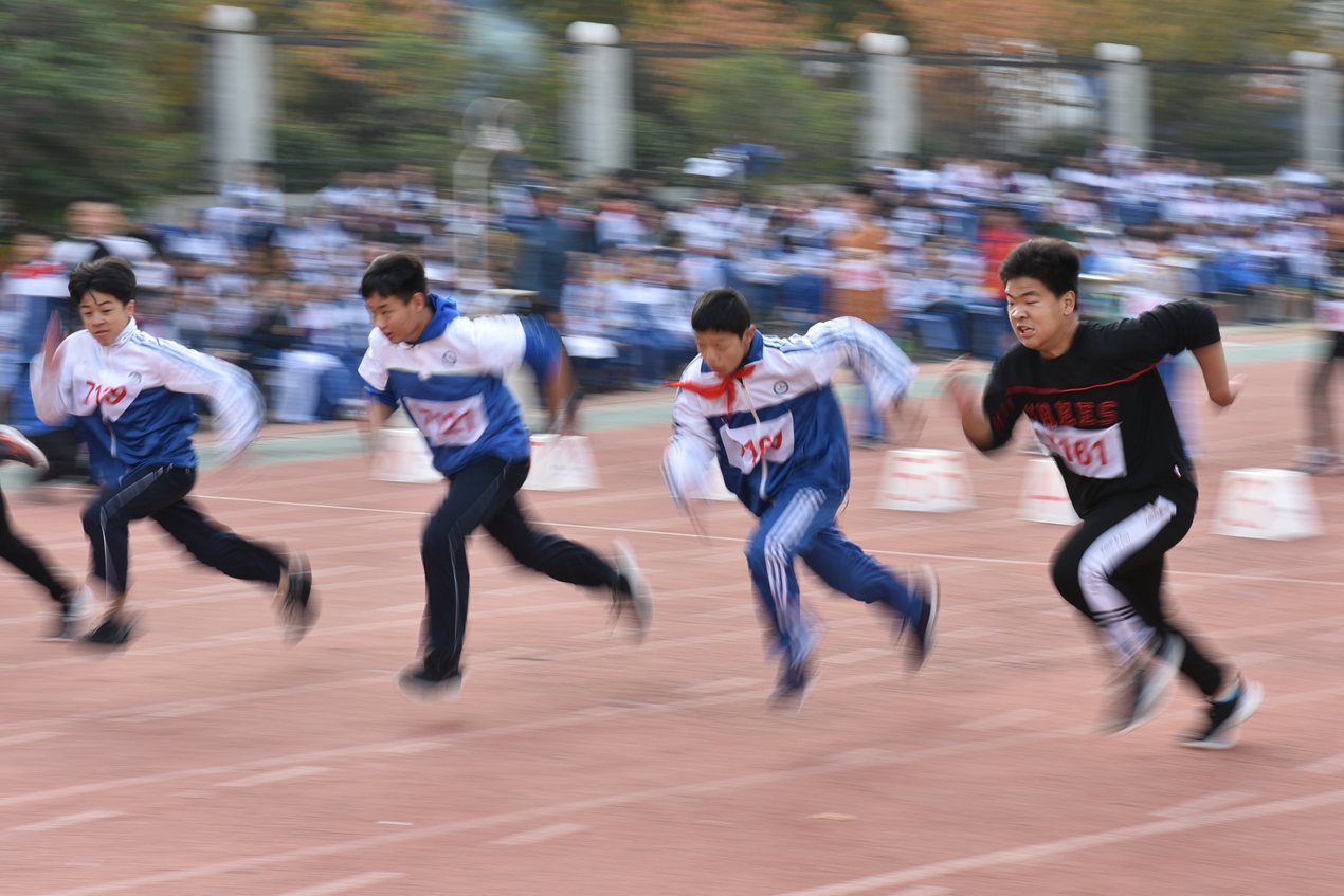 图片1