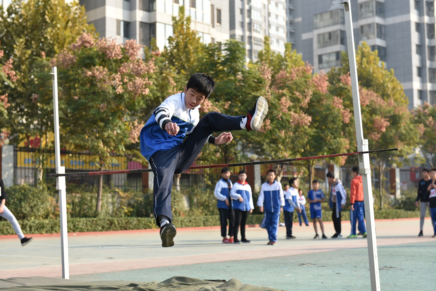 图片1