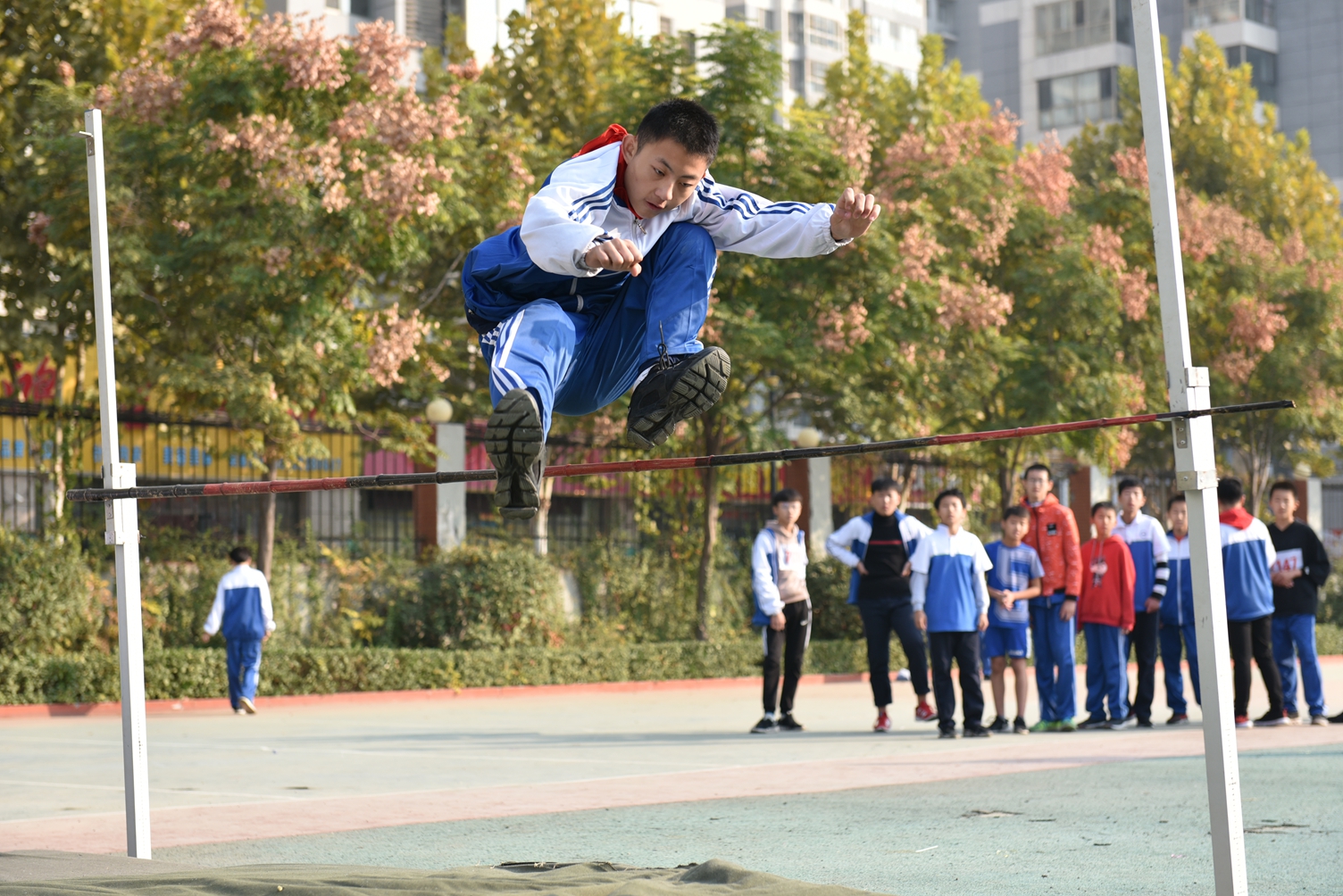 图片1