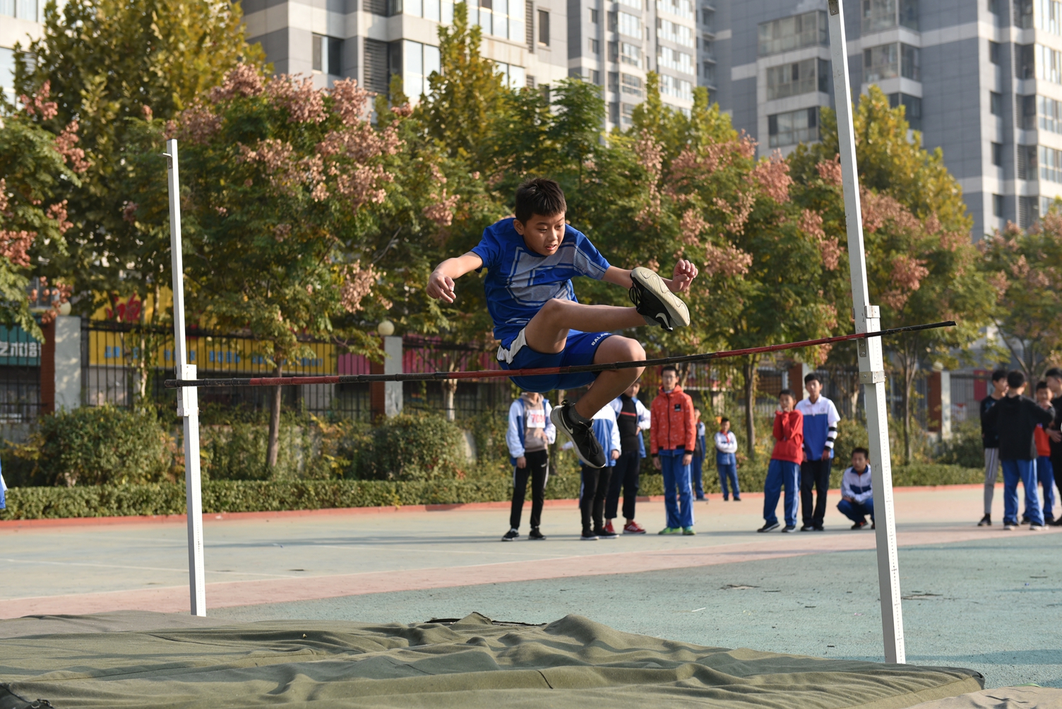 图片1