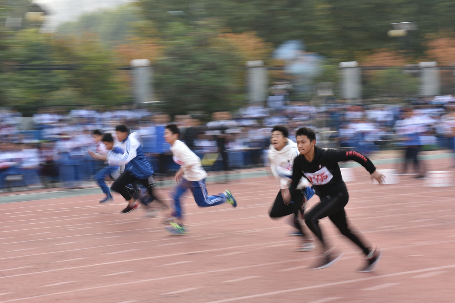 图片1