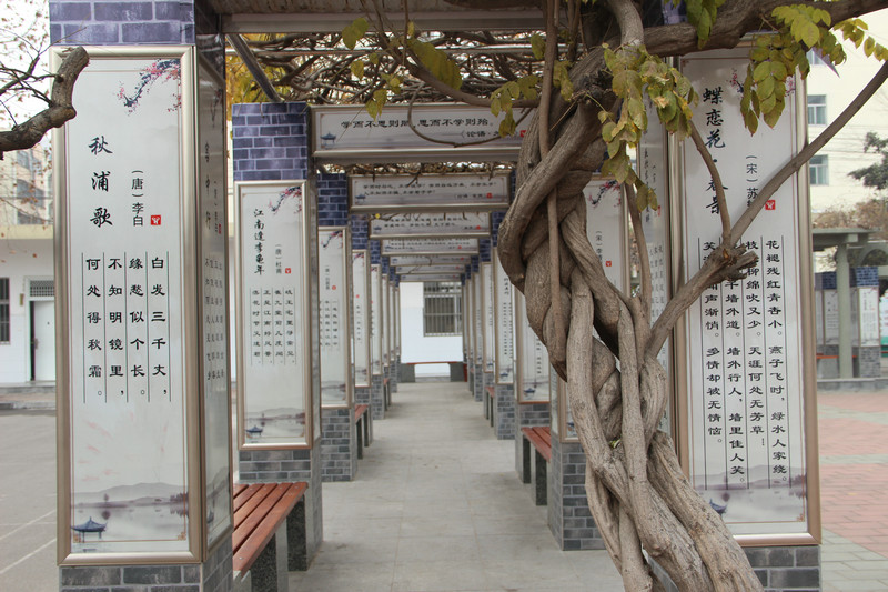 图片1