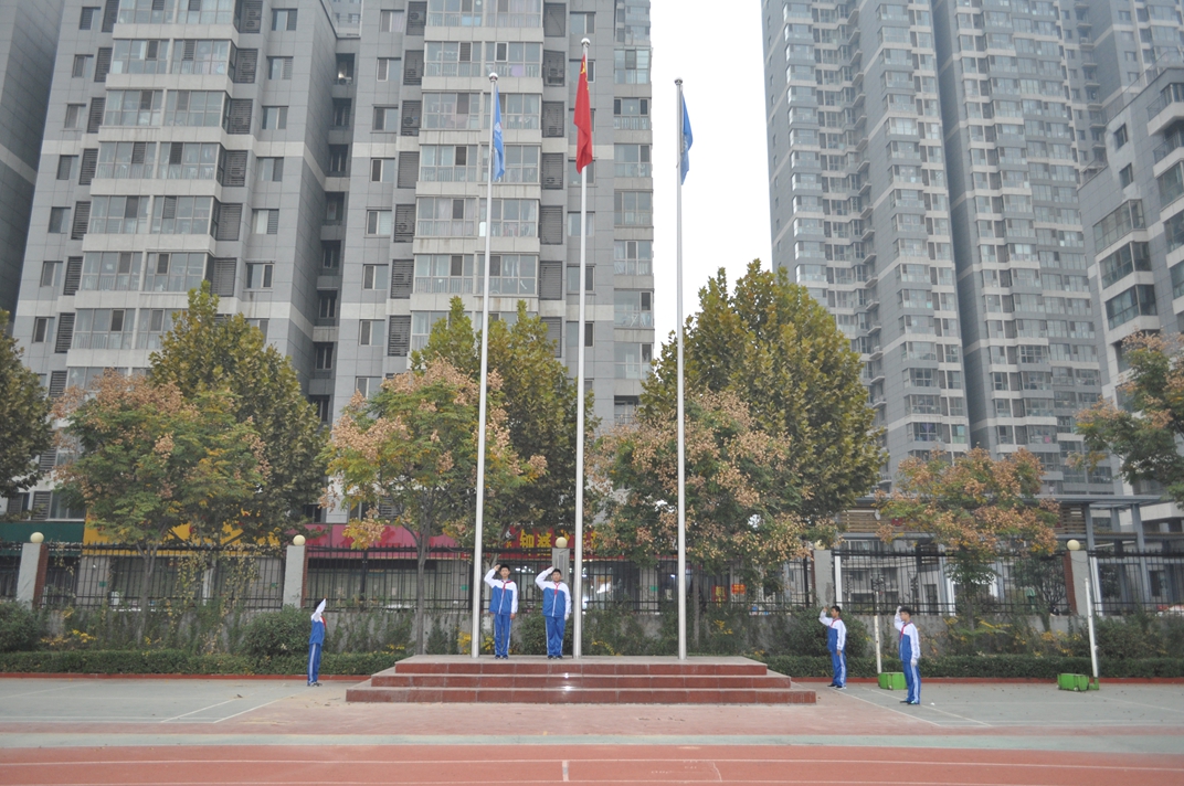 图片1