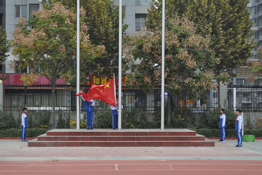 图片1