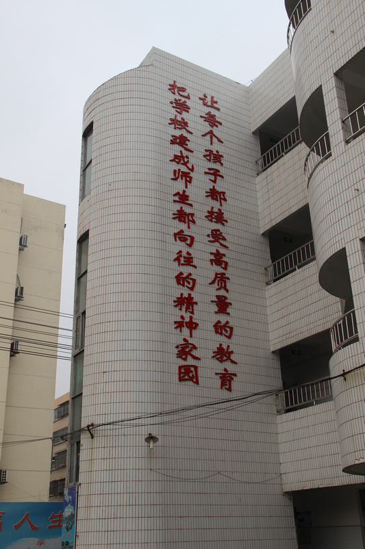 图片1