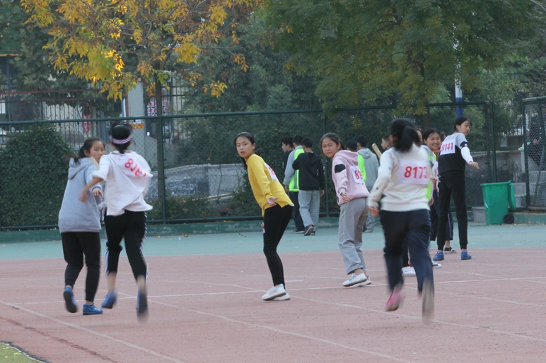 图片1