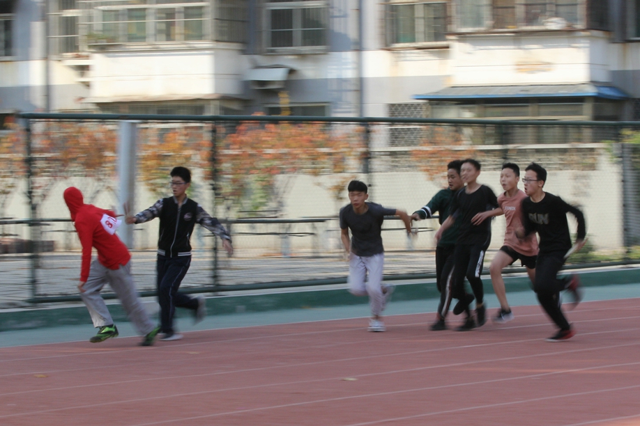 图片1