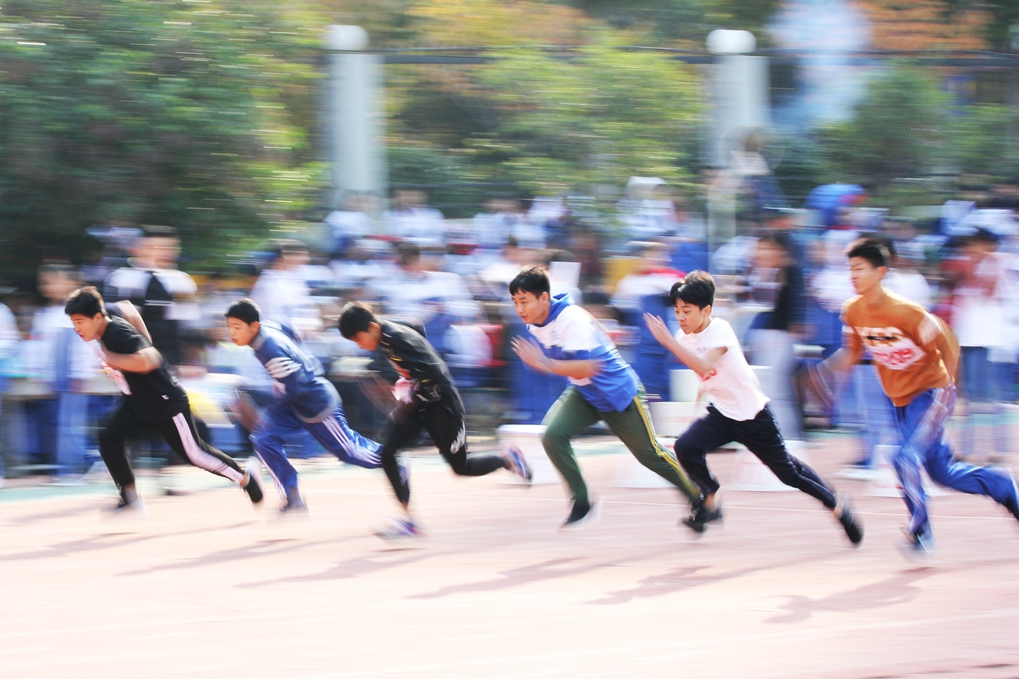 图片1