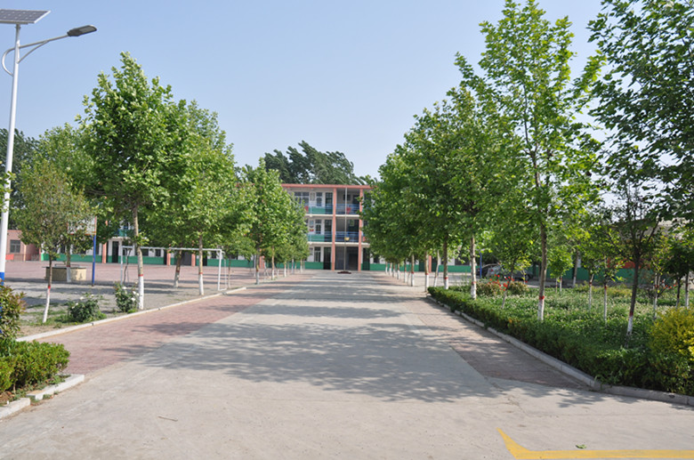 图片1