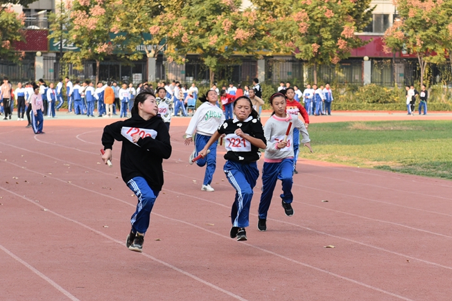 图片1