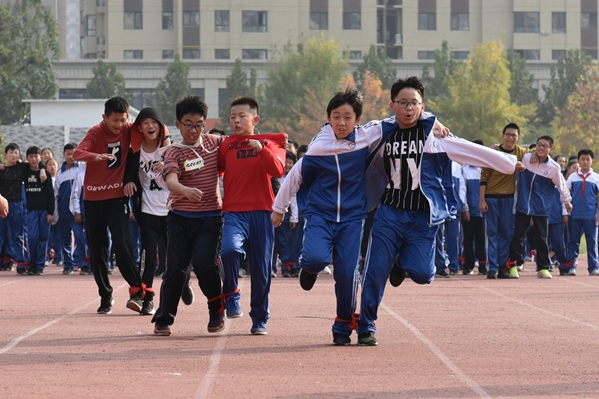 图片1