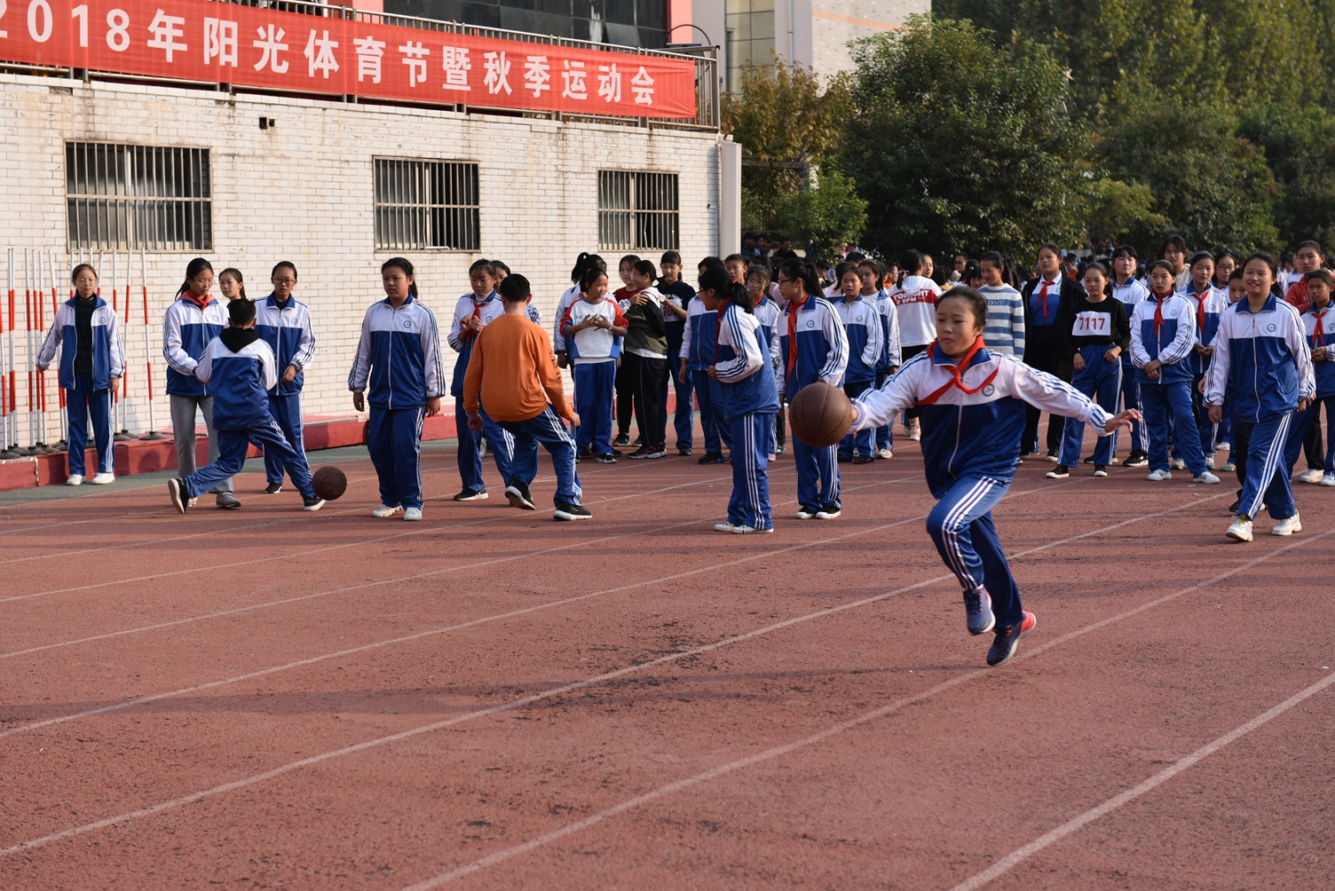 图片1