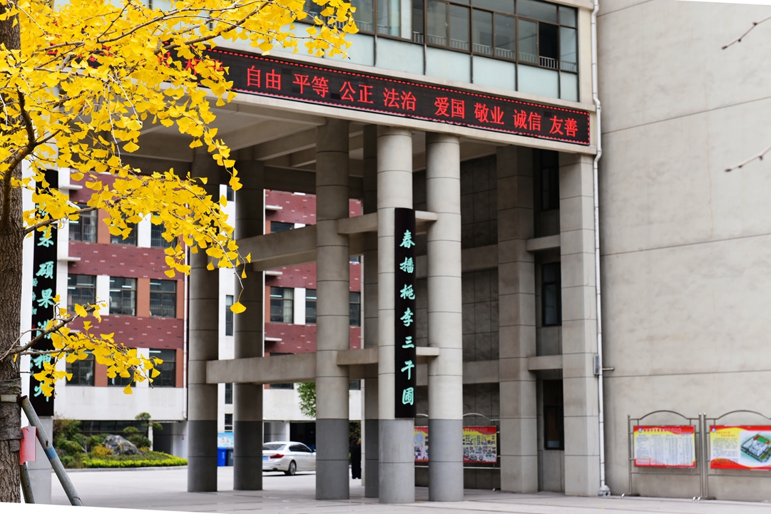 图片1