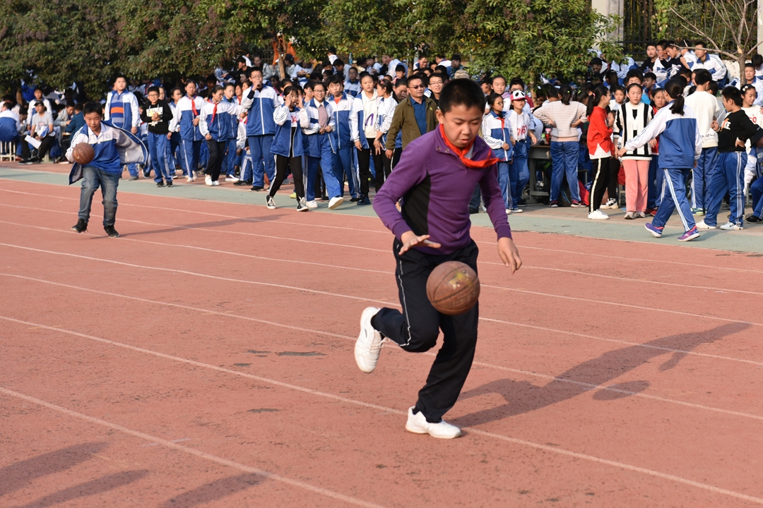 图片1