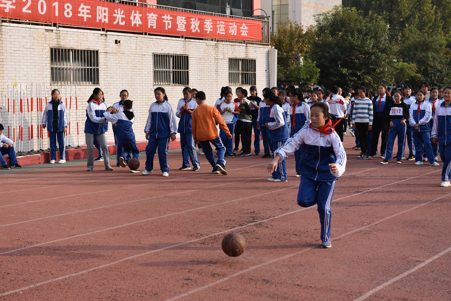 图片1